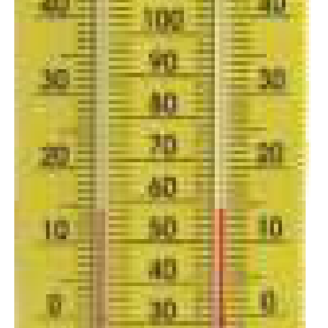 Wall Thermometer Wooden Body — Jennson thermometers by A R Instruments Company Ambala